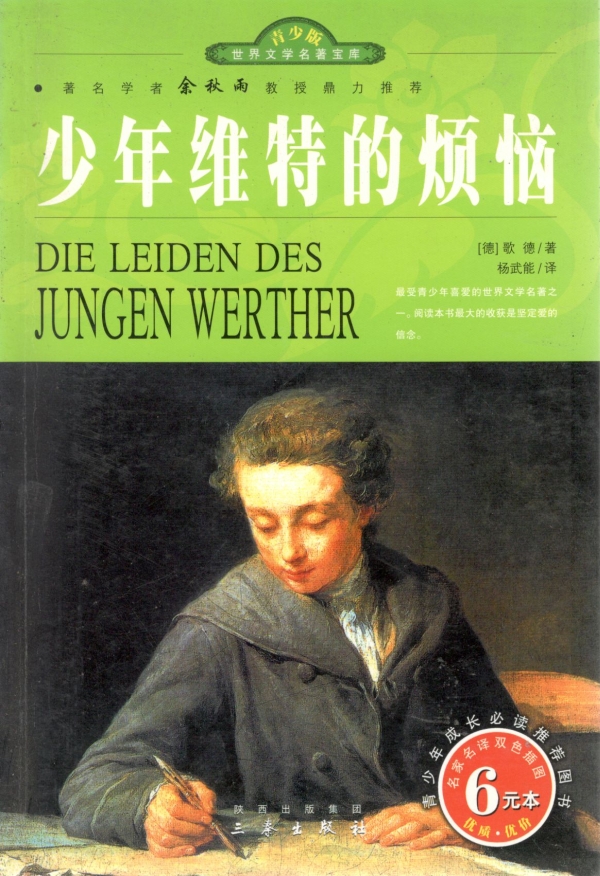 少年维特的烦恼