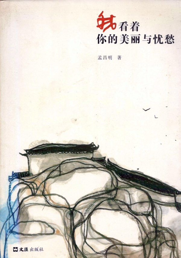 我看着你的美丽与忧愁